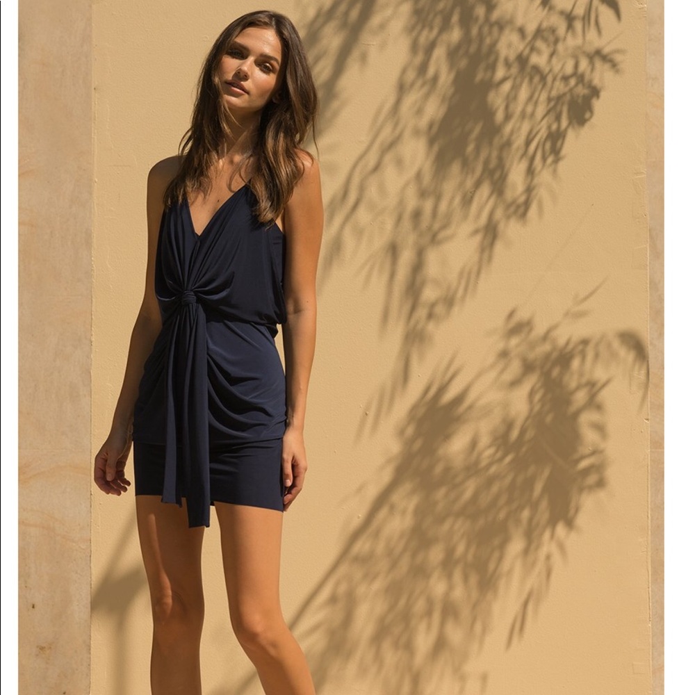 Misa Los Angeles dress